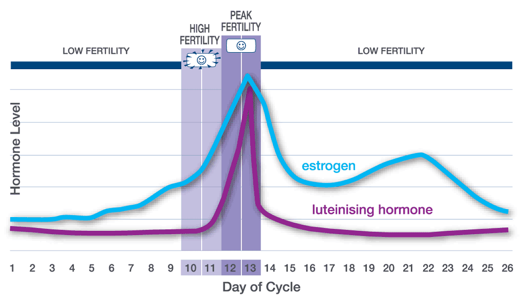 Dual Hormone Graph